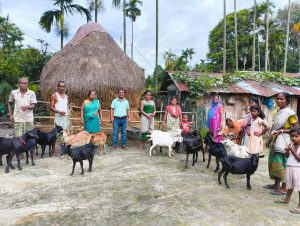 Goat Rearing